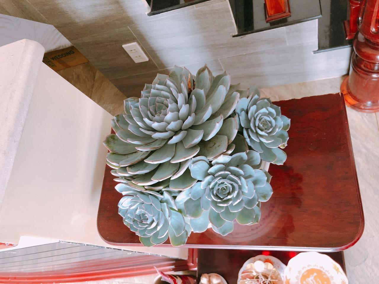 Mai Anh Dao Hotel Đà Lạt Extérieur photo